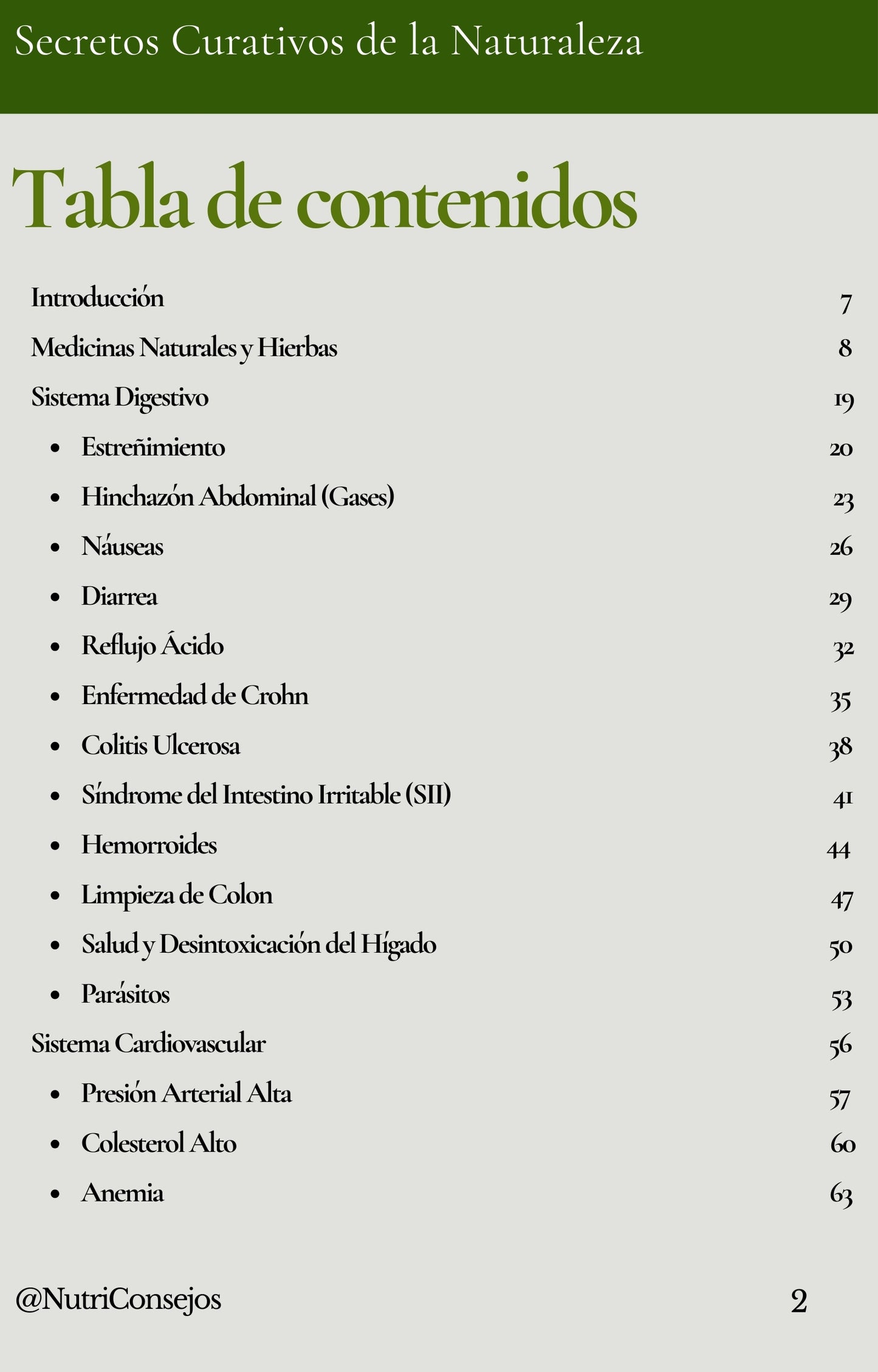 Los Secretos Curativos De La Naturaleza – Más de 200 Remedios Naturales Para Problemas De Salud comunes (ebook)